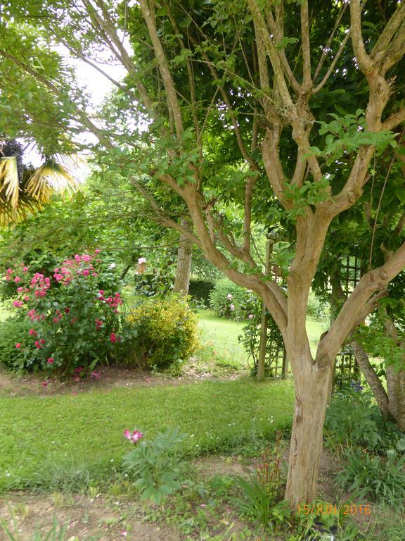 Bed and Breakfast Bedbreakfastbikespyrenees à Loubieres Extérieur photo