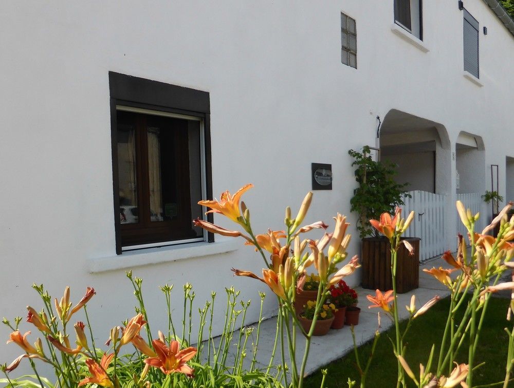 Bed and Breakfast Bedbreakfastbikespyrenees à Loubieres Extérieur photo